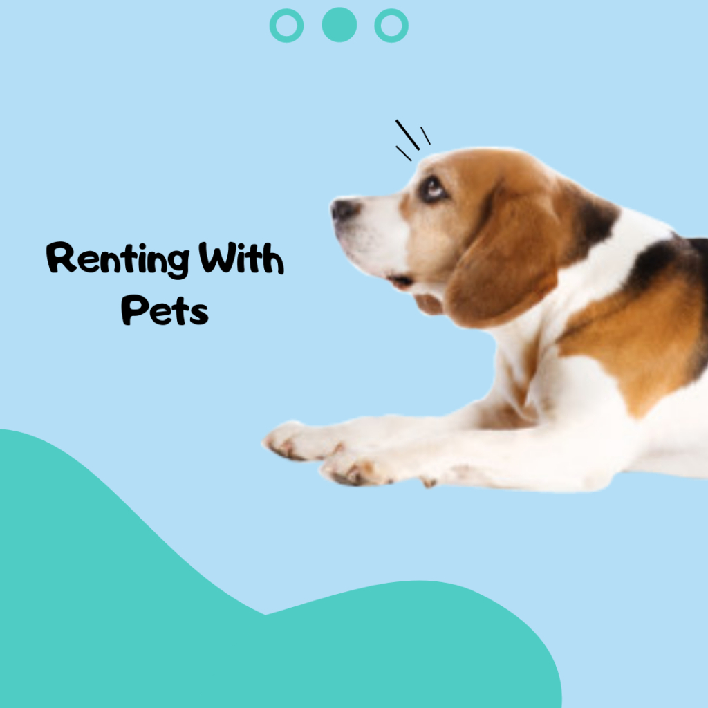 Renting With Pets header